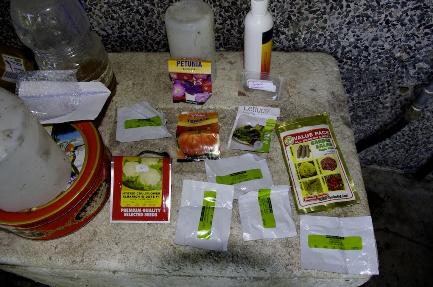 picture of different packages of seeds